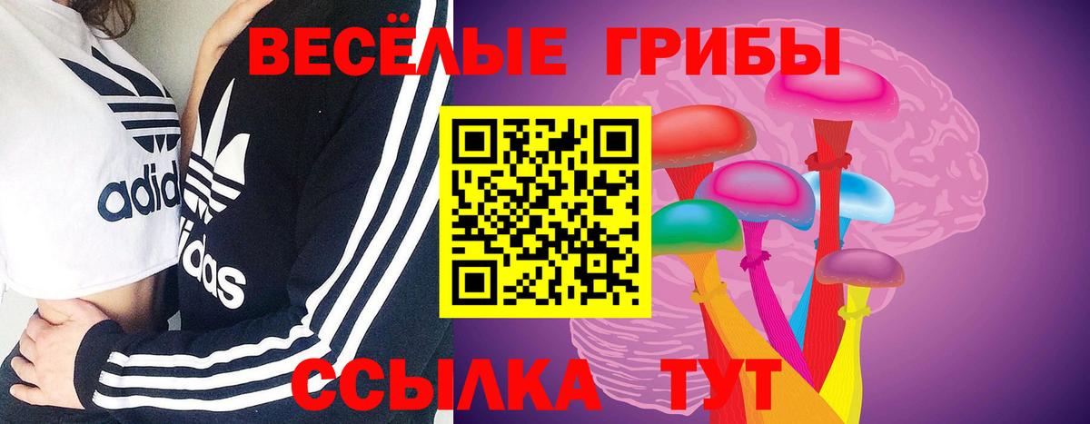 Галлюциногенные грибы GOLDEN TEACHER Михайловка
